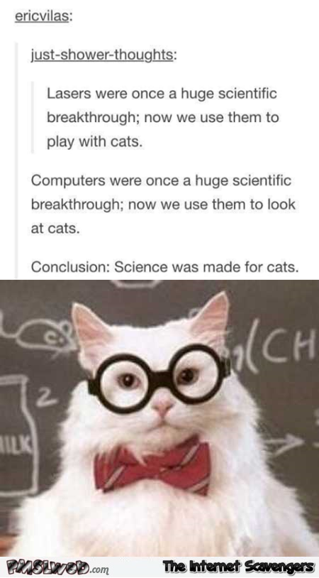 Science was made for cats humor @PMSLweb.com