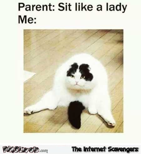 Sit like a lady funny cat meme @PMSLweb.com