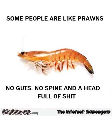 Some people are like prawns sarcastic humor @PMSLweb.com