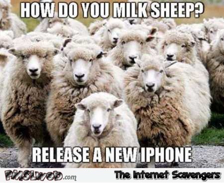 How do you milk sheep funny meme @PMSLweb.com