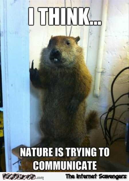 Nature is trying to communicate funny meme @PMSLweb.com