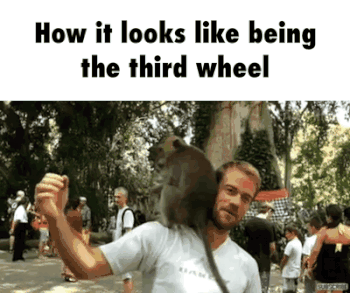 What it looks like being the third wheel funny gif – LMAO picture collection @PMSLweb.com