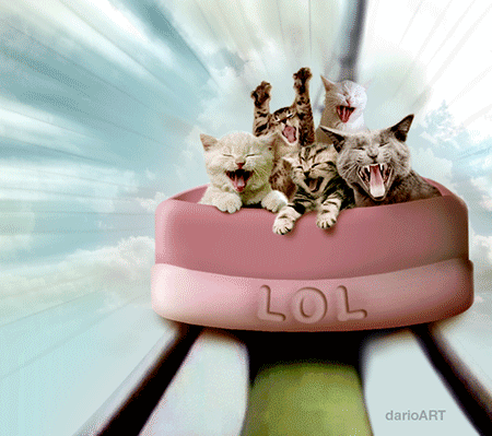 Funny LOL cats gif – Friday Shitz n Giggles @PMSLweb.com