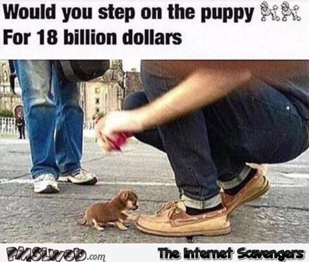 Would you step on this puppy funny meme – Funny Friday picture dump @PMSLweb.com