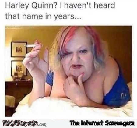 Harley Quinn haven’t heard that name in years funny meme @PMSLweb.com
