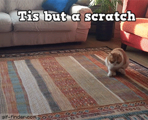 Tis but a scratch funny cat gif @PMSLweb.com