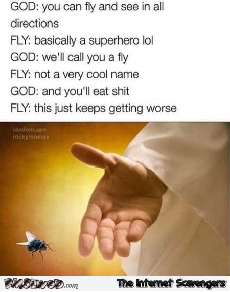 When God created the fly humor @PMSLweb.com