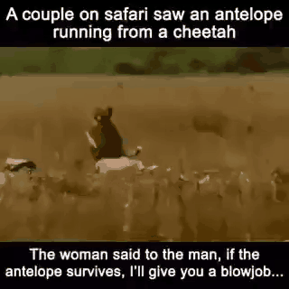 If the antelope survives I’ll give you a blowjob funny gif @PMSLweb.com