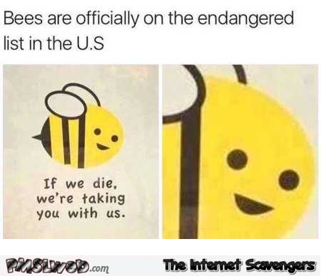 Bees are officially endangered funny meme @PMSLweb.com