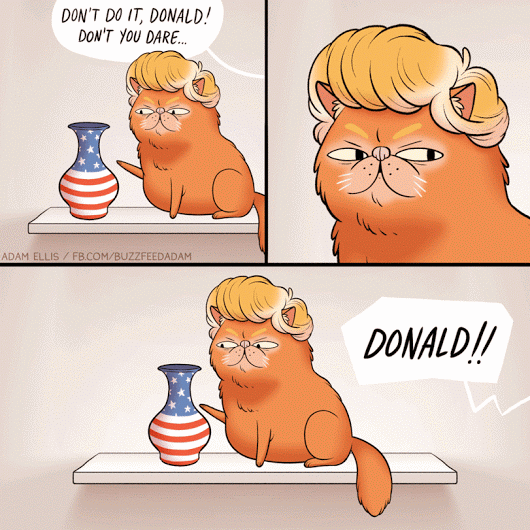If Trump was a cat funny cartoon @PMSLweb.com