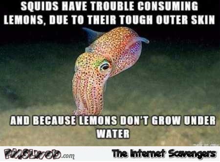 Squids have trouble consuming lemons funny meme @PMSLweb.com