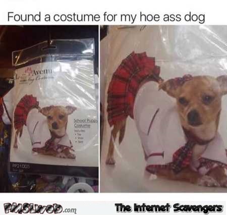 Funny hoe dog Halloween costume @PMSLweb.com