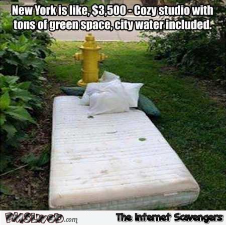 Rent in New York be like funny meme @PMSLweb.com