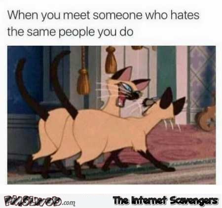 When you meet someone who hates the same people you do funny meme @PMSLweb.com