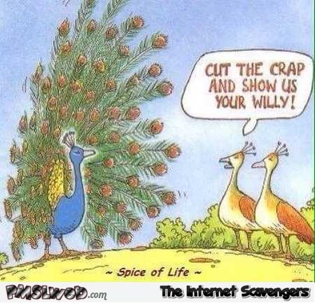 Show us your willy funny peacock cartoon – Tuesday LMAO @PMSLweb.com
