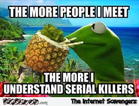 The more I understand serial killers funny meme @PMSLweb.com