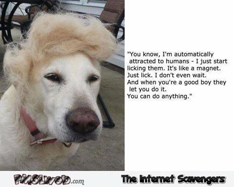 Funny Trump dog statement – Tuesday LMAO @PMSLweb.com