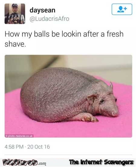 How my balls look after a fresh shave funny tweet – LMFAO pictures @PMSLweb.com