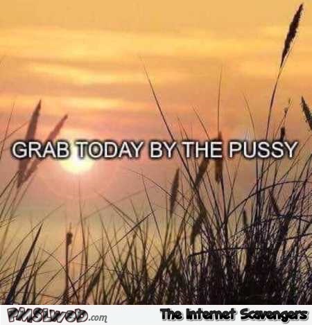 Grab today by the pussy funny inspirational Trump quote @PMSLweb.com