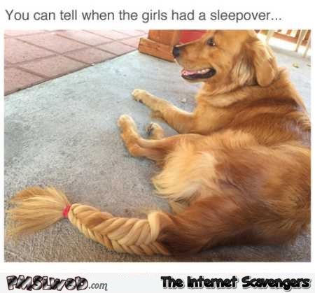 You can tell the girls had a sleep over funny meme @PMSLweb.com