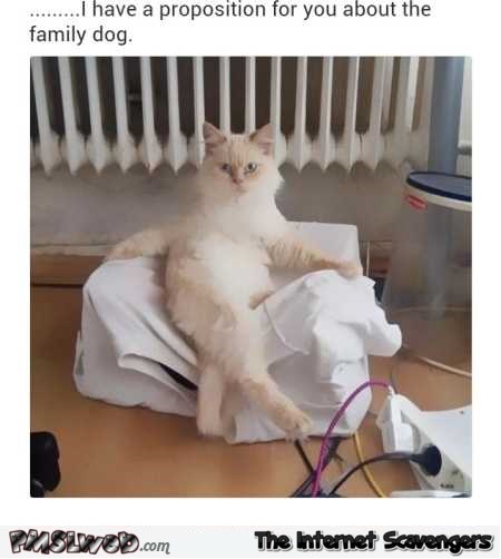 Cat has a proposition about the family dog funny meme @PMSLweb.com