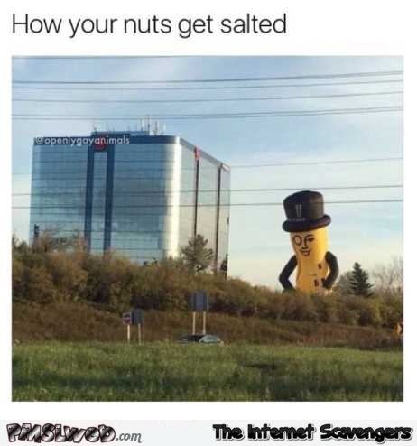 How your nuts get salted funny meme @PMSLweb.com