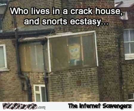 Sponge bob lives in a crack house funny meme @PMSLweb.com