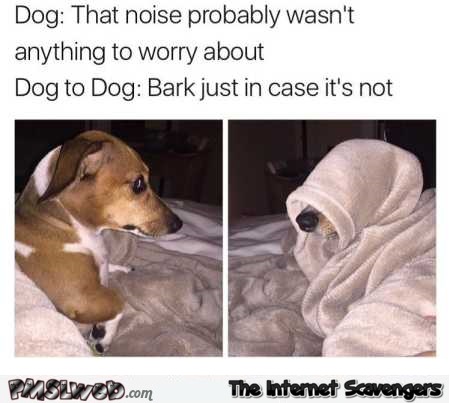 Dog versus evil dog funny meme
