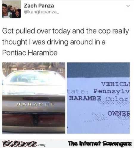 Funny Pontiac Harambe fail – TGIF you laugh you lose @PMSLweb.com