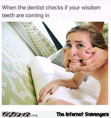 When the dentist checks if your wisdom teeth are coming out funny porn meme @PMSLweb.com