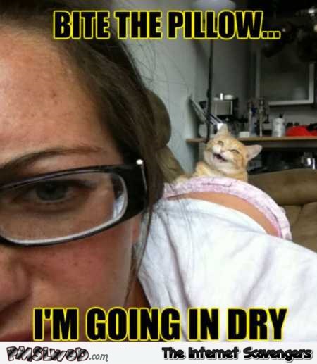 Bite the pillow I’m going in dry funny meme @PMSLweb.com