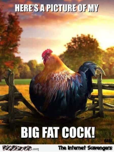 Here’s a picture of my big fat cock funny meme @PMSLweb.com