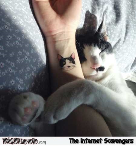 Cute photo of cat with tattoo � Interesting miscellaneous Internet pictures @PMSLweb.com