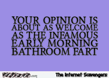 Your opinion is as welcome as an early morning bathroom fart sarcastic quote @PMSLweb.com