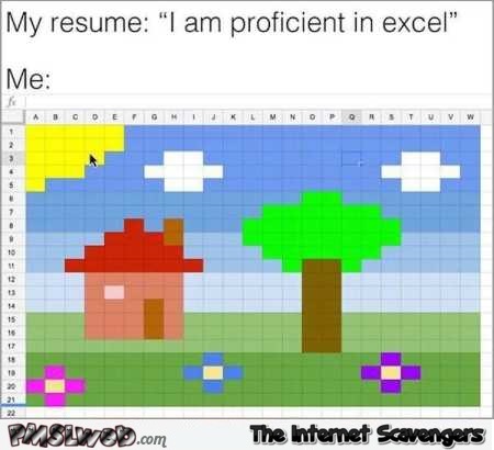 I am proficient in Excel funny meme @PMSLweb.com