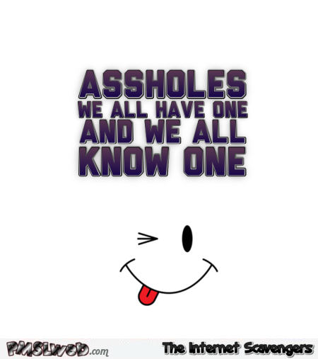Assholes we all have one sarcastic quote – Bitchy and sarcastic pictures @PMSLweb.com