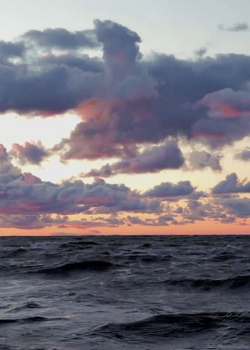 Awesome animated sea photo @PMSLweb.com
