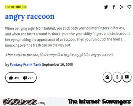Angry raccoon funny definition @PMSLweb.com