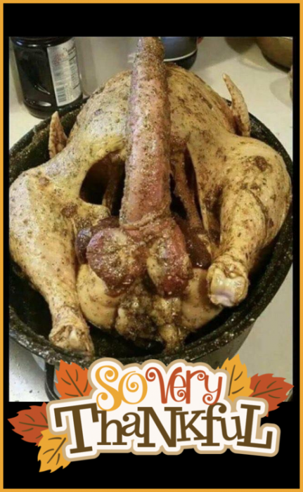 Funny Thanksgiving turkey with big penis