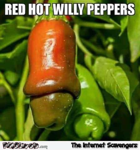 Red hot willy peppers funny meme @PMSLweb.com
