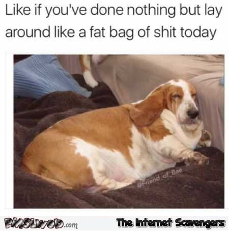 Like if you’ve done nothing but lay around all day funny meme @PMSLweb.com