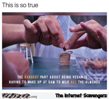 The hardest part about being a vegan funny meme @PMSLweb.com