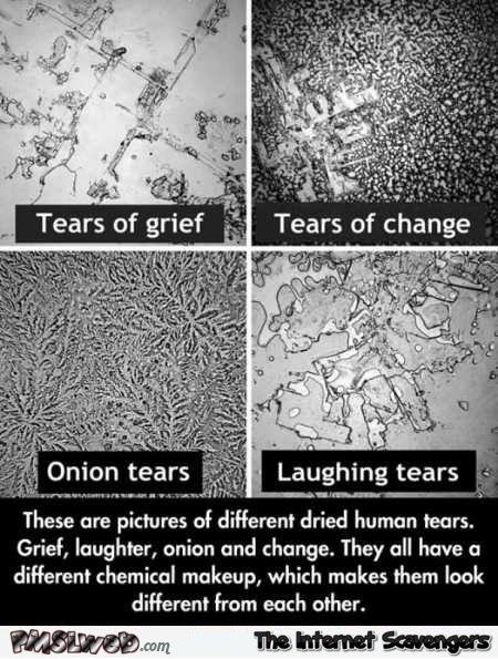 Our different kinds of tears chart- Interesting miscellaneous Internet pictures