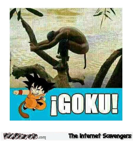 Funny WTF Goku look alike – Sunday LMAO pictures @PMSLweb.com
