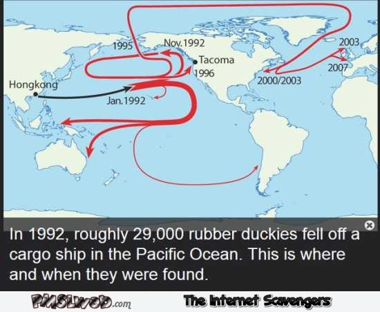What happens when rubber duckies fall off a cargo ship