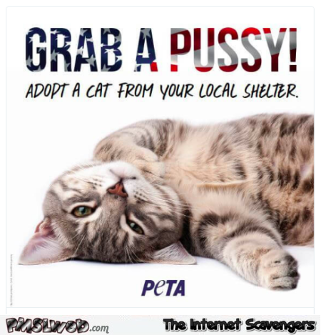 Grab a pussy funny Peta advertising – Hilarious Wednesday picture collection @PMSLweb.com