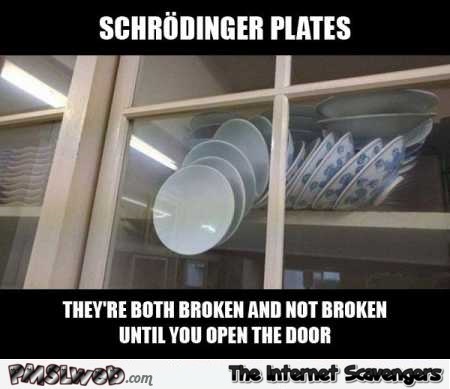 Schrodinger plates funny meme