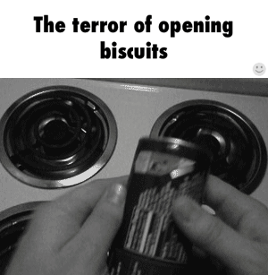 The terror of opening biscuits funny gif - Mischievous Hump day sarcasm @PMSLweb.com