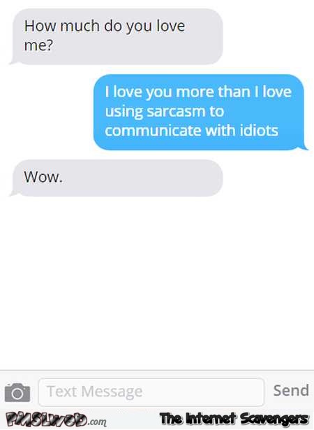 I love you more than I love using sarcasm with idiots funny text @PMSLweb.com
