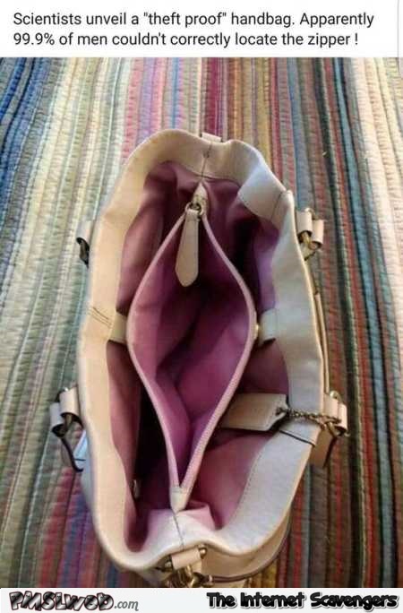 Funny vagina handbag meme